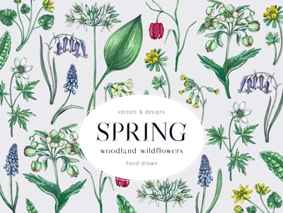 Colorful spring flowers background. Woodland flower, greenery, forest plants sketches. Botanical design in color. Wildflowers frame. Hand-drawn vector illustrations, NOT AI generated